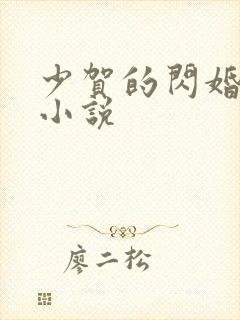 少贺的闪婚暖婚小说
