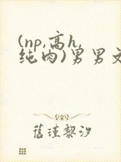 (np,高h,纯肉)男男文