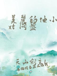 美丽的他小说txt 网盘