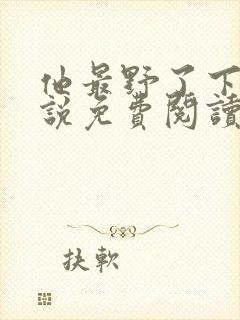 他最野了下册小说免费阅读