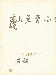 高h免费小说在线
