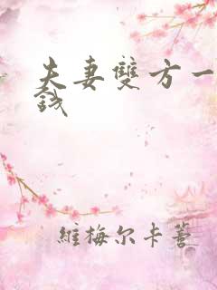 夫妻双方一方欠钱