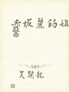 赤坂丽的姐妹牙医