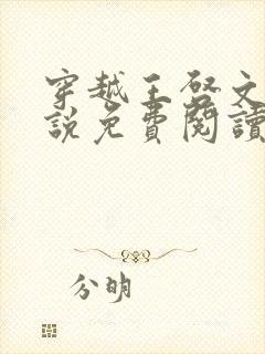 穿越王启文的小说免费阅读无弹窗