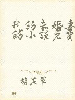 我的未婚妻小琳的小说免费阅读