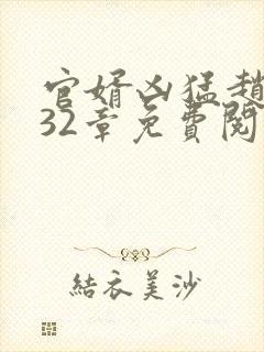 官婿凶猛赵阳第32章免费阅读