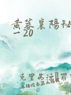 黄蓉襄阳秘史1一20