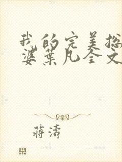 我的完美总裁老婆叶凡全文免费阅读