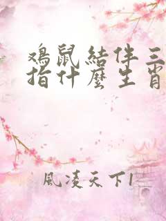 鸡鼠结伴三更起指什么生肖