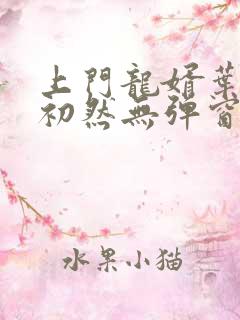 上门龙婿叶辰萧初然无弹窗