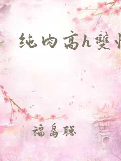 纯肉高h双性文
