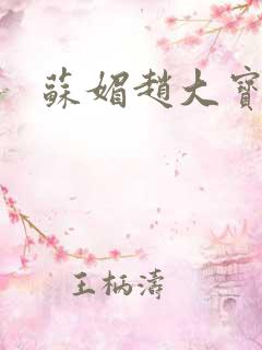 苏媚赵大宝全文