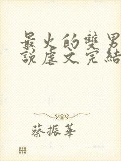 最火的双男主小说虐文完结受推文