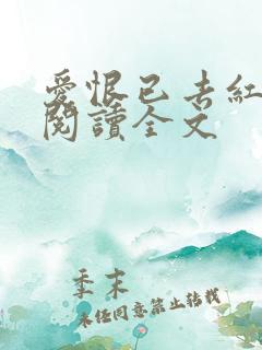 爱恨已去红颜空阅读全文