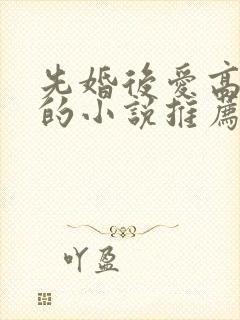 先婚后爱高干文的小说推荐