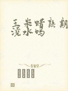 玉米蜡熟期还用浇水吗