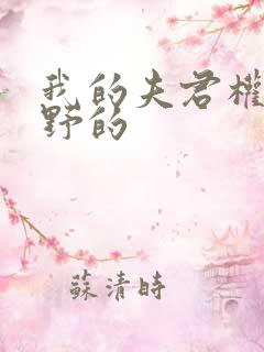 我的夫君权倾朝野的