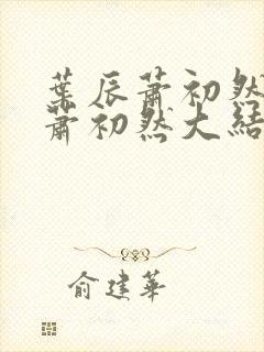叶辰萧初然叶辰萧初然大结局