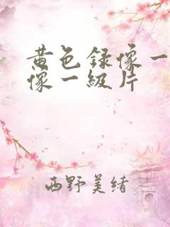 黄色录像一级录像一级片