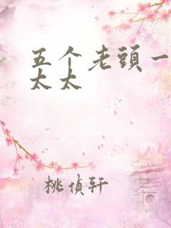 五个老头一个老太太