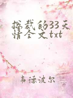 总裁的33天索情全文txt