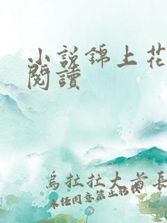 小说锦上花免费阅读