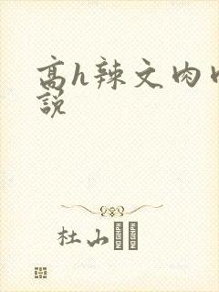 高h辣文肉肉小说