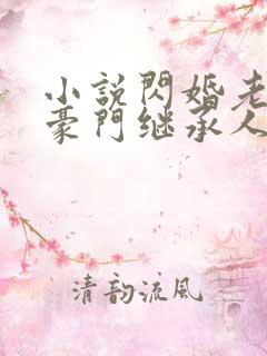 小说闪婚老公是豪门继承人