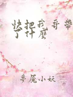 快把我哥带走讲了什么