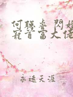 何聪睿 闪婚成宠首富大佬爱上我