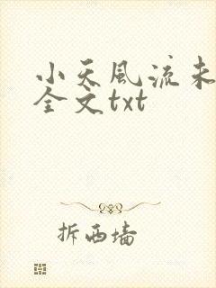 小天风流未删节全文txt