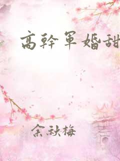 高干军婚甜文