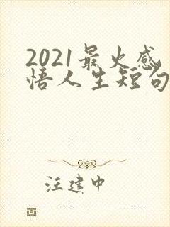 2021最火感悟人生短句