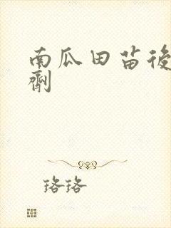南瓜田苗后除草剂