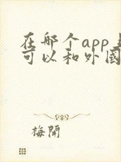 在哪个app上可以和外国人聊天