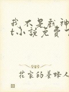 我不是戏神txt小说免费下载