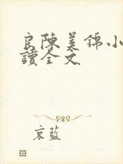 良陈美锦小说阅读全文