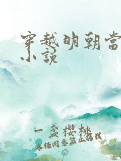 穿越明朝当暴君小说