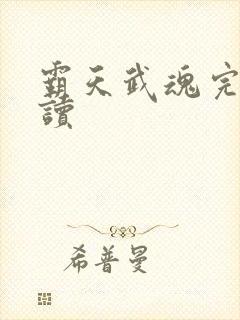 霸天武魂完整阅读
