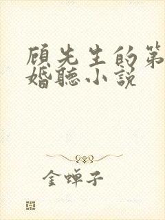 顾先生的第一宠婚听小说