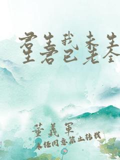 君生我未生 我生君已老全诗
