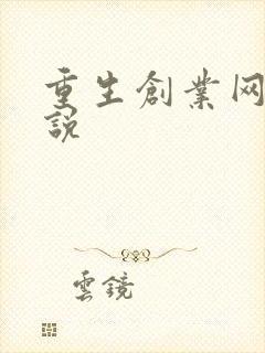 重生创业网络小说