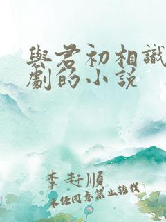 与君初相识电视剧的小说