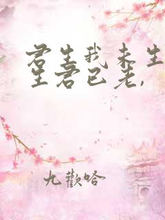 君生我未生,我生君已老,