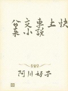 公交车上快插进来小说