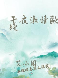 午夜激情欧美在线