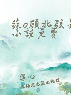 苏o顾北弦最新小说免费