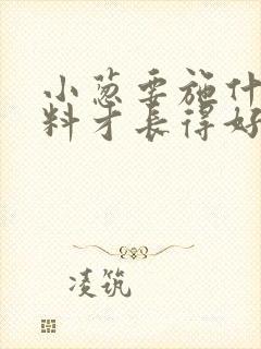 小葱要施什么肥料才长得好