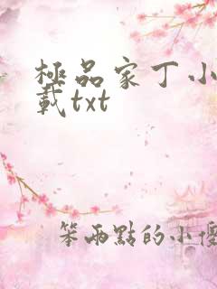 极品家丁小说下载txt