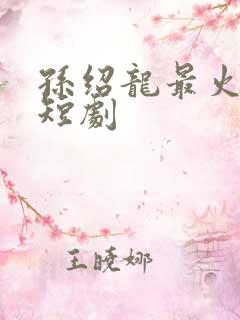 孙绍龙最火十部短剧